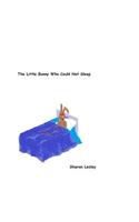 The Little Bunny Who Could Not Sleep