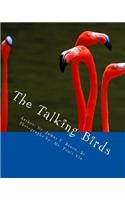 Talking Birds