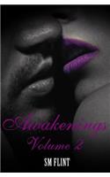 Awakenings - Volume 2