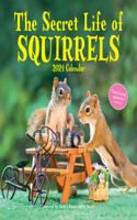 Secret Life of Squirrels Wall Calendar 2024