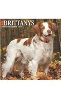 Just Brittanys 2020 Wall Calendar (Dog Breed Calendar)