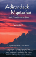 Adirondack Mysteries