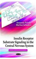 Insulin Receptor Substrate Signaling in the Central Nervous System