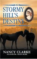 Stormy Hill's Destiny: Book 7(7 Stormy Hill)