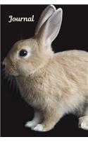 Journal