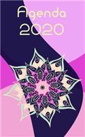 Agenda 2020