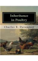 Inheritance in Poultry