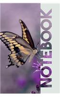 Notebook: Barboleta Chic Composition Book for Butterfly Lovers