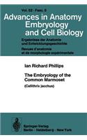 Embryology of the Common Marmoset