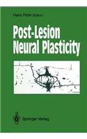 Post-Lesion Neural Plasticity