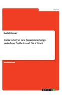 Kurze Analyse des Zusammenhangs zwischen Freiheit und Gleichheit: (German)