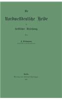 Die Nordwestdeutsche Heide in forstlicher Beziehung