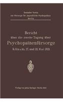Bericht über die zweite Tagung über Psychopathenfürsorge