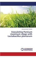 Inoculating Panicum maximum silage with Lactobacillus plantarum