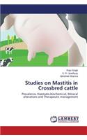 Studies on Mastitis in Crossbred cattle