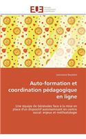 Auto-Formation Et Coordination P�dagogique En Ligne: (Omn.Univ.Europ.)