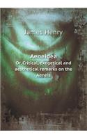 Aeneidea Or, Critical, Exegetical and Aesthetical Remarks on the Aeneis