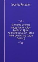 Elementa Linguae Aegyptiacae, Vulgo Copticae: Quae Auditoribus Suis in Patrio Athenaeo Pisano (Latin Edition)