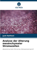 Analyse der Alterung mesenchymaler Stromazellen