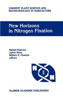 New Horizons in Nitrogen Fixation