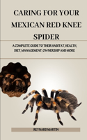Caring for Your Mexican Red Knee Spider