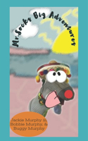 Mr. Sock's Big Adventure