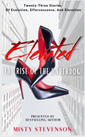 Elevated: Rise of the Underdog