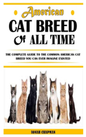 American Cat Breed of All Time
