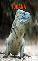 Iguana
