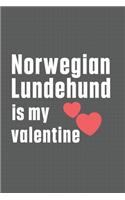 Norwegian Lundehund is my valentine: For Norwegian Lundehund Dog Fans