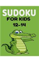 sudoku for kids 12-14