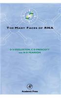 The Many Faces of RNA