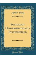 Sociology Diagrammatically Systematized (Classic Reprint)