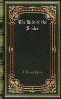 The Life of the Spider