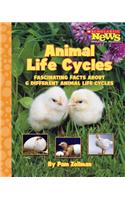 Animal Life Cycles