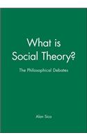 What Is Social Theory?