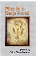 Pike in a Carp Pond