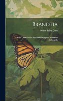 Brandtia