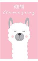 You Are LLAMAZING!
