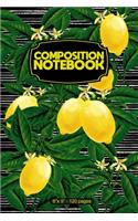 Composition Notebook