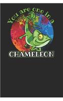 You Are One in a Chameleon
