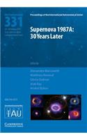 Supernova 1987A: 30 Years Later (IAU S331)