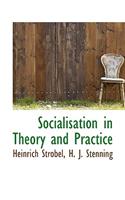 Socialisation in Theory and Practice