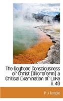 The Boyhood Consciousness of Christ [Microform] a Critical Examination of Luke II. 49