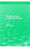 Working-Class Images of Society (Routledge Revivals)