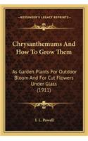 Chrysanthemums and How to Grow Them