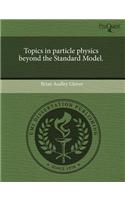 Topics in Particle Physics Beyond the Standard Model