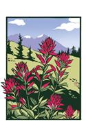Indian Paintbrush (Unboxed)
