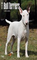 Bull Terriers 2018 Wall Calendar