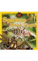 Spiders and Other Animals That Make Traps